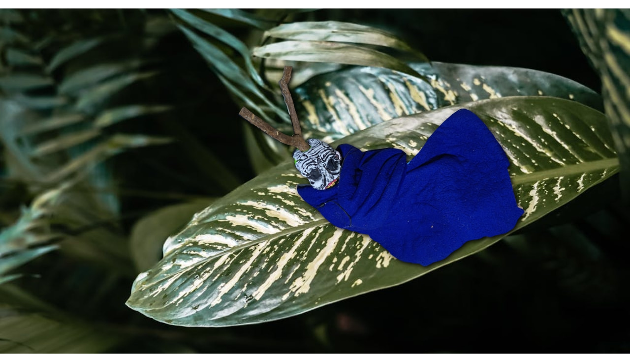 Gusano de Medianoche 3